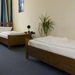 Hotel Pension Rheingold 2* Стандартный номер с различными типами кроватей фото 17