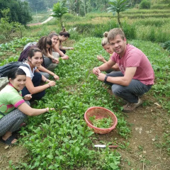 Отель Hoa Chanh Homestay Шапа спортивное сооружение