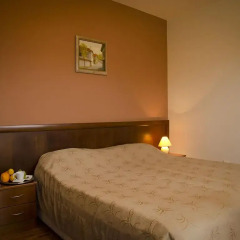 Bizev Hotel 3* Номер категории Эконом фото 3