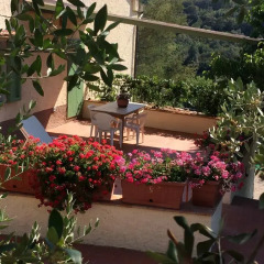Отель Agriturismo Le Catre Кастаньето-Кардуччи фото 6