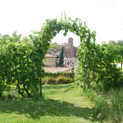 Отель Casa romantica Лари