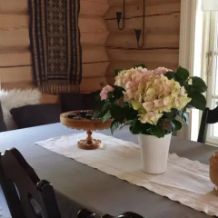 Отель Røldalsterrassen