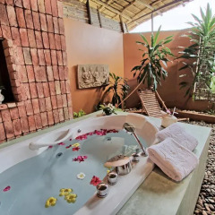 Отель Mangosteen Ayurveda & Wellness Resort 4* Номер Делюкс с двуспальной кроватью фото 2