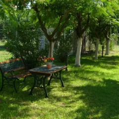Отель Evangelia's Family House Греция, Ситония - отзывы, цены и фото номеров - забронировать отель Evangelia's Family House онлайн фото 9