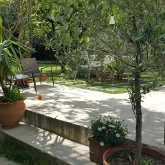 Отель Nel Giardino degli Agrumi Италия, Палермо - отзывы, цены и фото номеров - забронировать отель Nel Giardino degli Agrumi онлайн фото 4