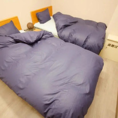 Tokyo Sumidagawa Youth Hostel Стандартный номер