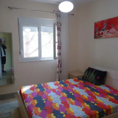 Отель Primavera Residence Албания, Голем - отзывы, цены и фото номеров - забронировать отель Primavera Residence онлайн комната для гостей фото 2