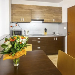 Отель Prater Residence 3* Улучшенные апартаменты с различными типами кроватей фото 5