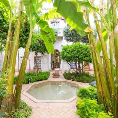 Отель Le Riad Berbere Марокко, Марракеш - отзывы, цены и фото номеров - забронировать отель Le Riad Berbere онлайн