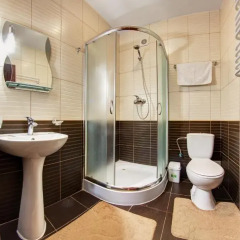 Гостиница Villa Elena 3* Номер Комфорт с различными типами кроватей фото 4