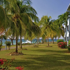 Отель Carib Beach Apartments Negril Ямайка, Вестморленд - отзывы, цены и фото номеров - забронировать отель Carib Beach Apartments Negril онлайн
