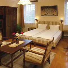Hotel Manzard Panzio 3* Стандартный номер с различными типами кроватей фото 12