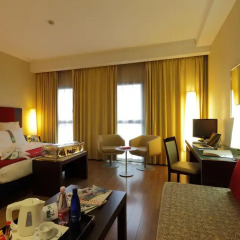 Отель Holiday Inn Turin Corso Francia 4* Стандартный номер с различными типами кроватей