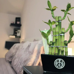 Апартаменты Derelli Deluxe Apartment удобства в номере фото 2