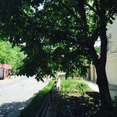 Гостиница Villa na Dache Kovalevskogo фото 3