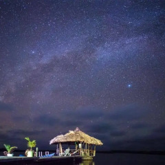 Отель The Venue - Utila Гондурас, Остров Утила - отзывы, цены и фото номеров - забронировать отель The Venue - Utila онлайн