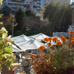 Green House Hotel Тирана