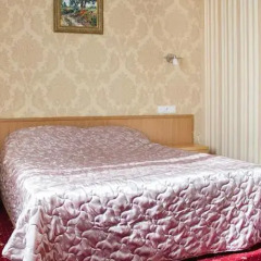 Гостевой дом Партия комната для гостей фото 4