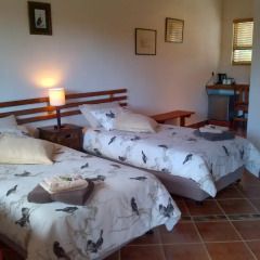 Отель Fish Eagles Lodge Стандартный номер с 2 отдельными кроватями