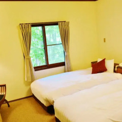 Отель Grove Inn Skala 3* Стандартный номер фото 12