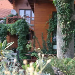 Отель Orehite Guest House Боровец фото 7