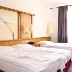 Hotel Branik 3* Стандартный номер с различными типами кроватей фото 2