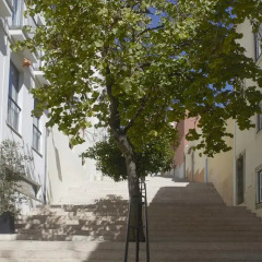 Отель Orange 3 House - Chiado Bed & Breakfast & Suites Португалия, Лиссабон - отзывы, цены и фото номеров - забронировать отель Orange 3 House - Chiado Bed & Breakfast & Suites онлайн фото 3
