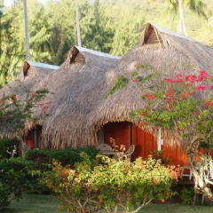 Hotel Hibiscus 3* Бунгало с различными типами кроватей фото 5