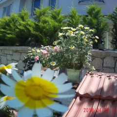 Chakra Boutique Hotel Чешме фото 3