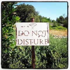 Отель Masseria Quis Ut Deus 4* Стандартный номер фото 20