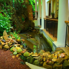Отель Tropical Retreat фото 3