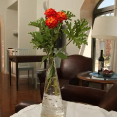 Отель Tur Sinai Organic Farm Resort Иерусалим интерьер отеля