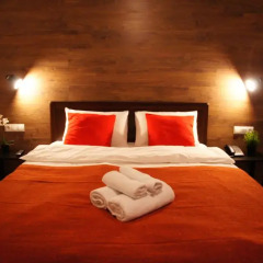 LiKi LOFT HOTEL 3* Улучшенный номер с различными типами кроватей фото 25