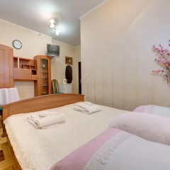 Гостиница Александрия 3* Стандартный номер с разными типами кроватей фото 9