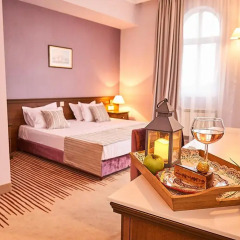 Hotel Lion Sofia комната для гостей фото 2