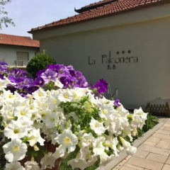 Отель B&B La Falconera фото 8