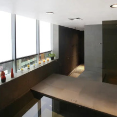 Отель Pan Pacific Serviced Suites Orchard, Singapore Сингапур, Сингапур - отзывы, цены и фото номеров - забронировать отель Pan Pacific Serviced Suites Orchard, Singapore онлайн балкон