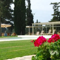 Отель Guadalupe Tuscany Resort фото 4