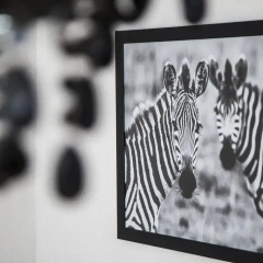 Отель Zebra Old Town Польша, Варшава - отзывы, цены и фото номеров - забронировать отель Zebra Old Town онлайн интерьер отеля