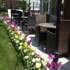Pendik Marine Hotel Турция, Стамбул - отзывы, цены и фото номеров - забронировать отель Pendik Marine Hotel онлайн фото 3