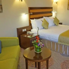 Отель Holiday Inn Riyadh Al-Qasr 5* Номер Делюкс с различными типами кроватей фото 4