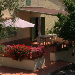 Отель Agriturismo Le Catre Кастаньето-Кардуччи фото 7