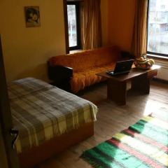 Отель Guesthouse KaraIvan Болгария, Чепеларе - отзывы, цены и фото номеров - забронировать отель Guesthouse KaraIvan онлайн комната для гостей фото 2