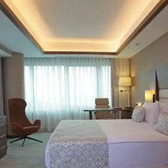 Bricks Airport Hotel Istanbul 3* Номер Делюкс с различными типами кроватей фото 5