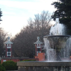Отель Colonial on Tay фото 7