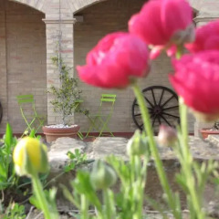 Отель Bed and breakfast Aratro & Rosmarino Номер Делюкс фото 4