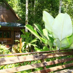 Отель Aonang Cliff View Resort 3* Улучшенное бунгало с различными типами кроватей фото 6