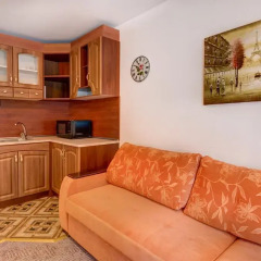 Отель Mountain Lodge Aparthotel 3* Студия фото 2