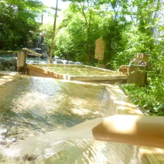 Отель Wellness Forest Ito Ито бассейн фото 2