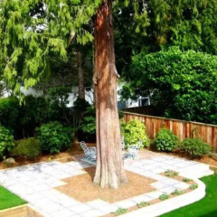 Отель Haddon House Bed & Breakfast Канада, Бурнаби - отзывы, цены и фото номеров - забронировать отель Haddon House Bed & Breakfast онлайн фото 8